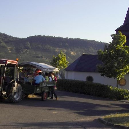 Gaestehaus Alexanderhof Leiwen Zewnętrze zdjęcie