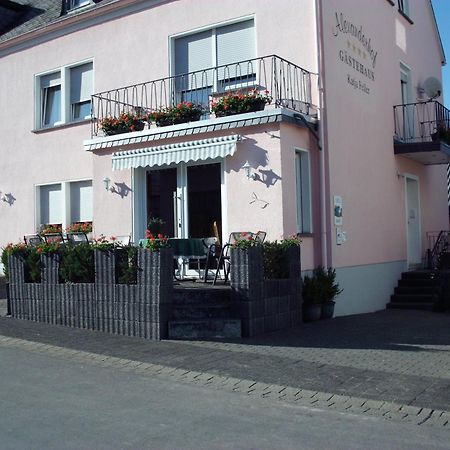 Gaestehaus Alexanderhof Leiwen Zewnętrze zdjęcie