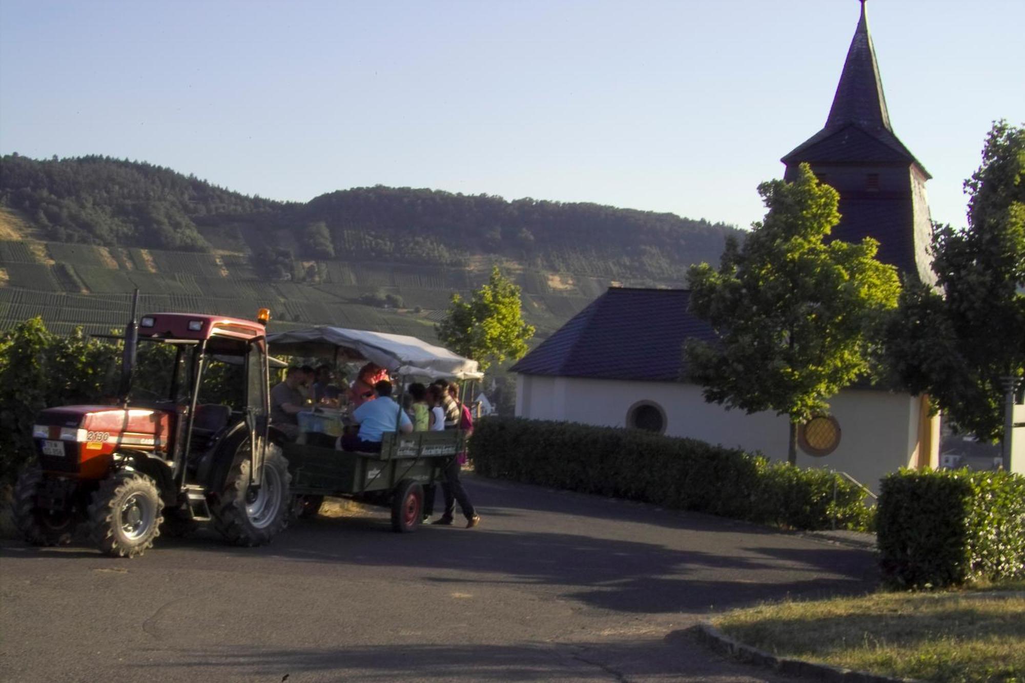 Gaestehaus Alexanderhof Leiwen Zewnętrze zdjęcie