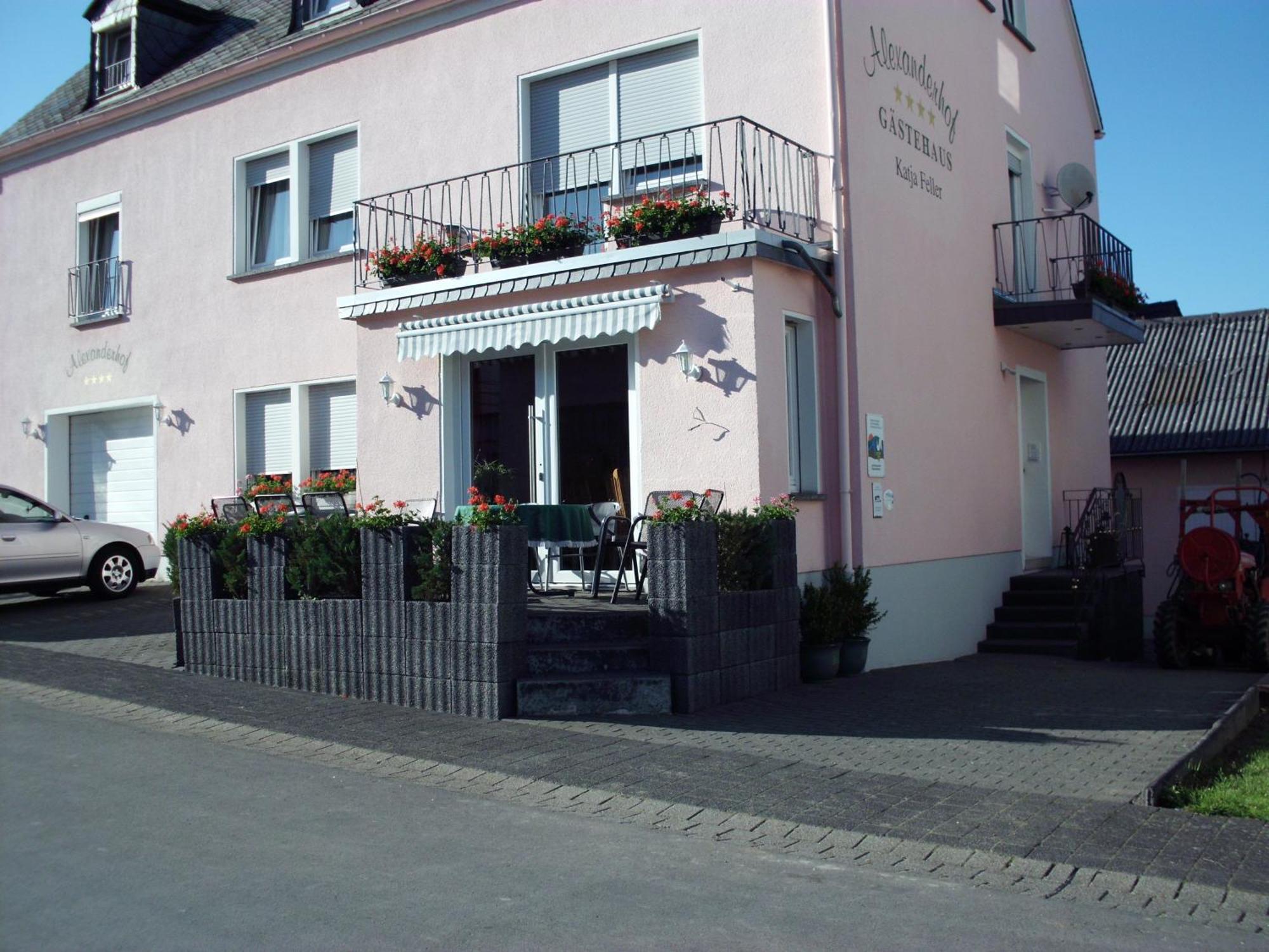 Gaestehaus Alexanderhof Leiwen Zewnętrze zdjęcie